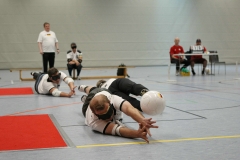 Blindentorball (32)
