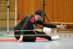 Blindentorball (4)